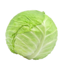 Green cabbage